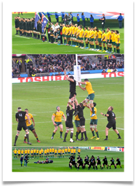 RUGBY WORLD CUP COLLAGE - Carol Sparkes